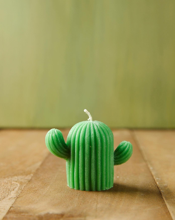 Cacti Candles
