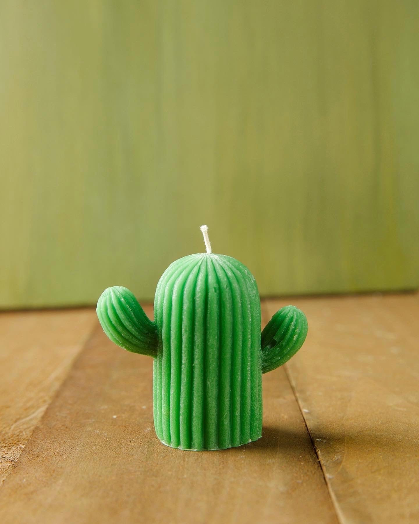 Cacti Candles