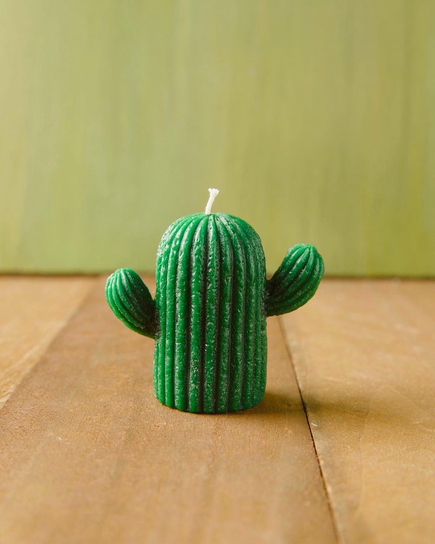 Cacti Candles